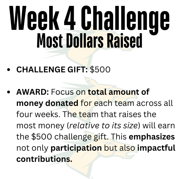 Back The Broncos (9).png